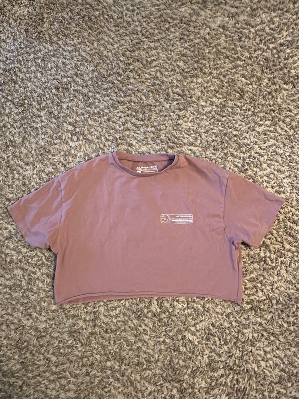Alphalete Dusty Mauve Cropped Tee